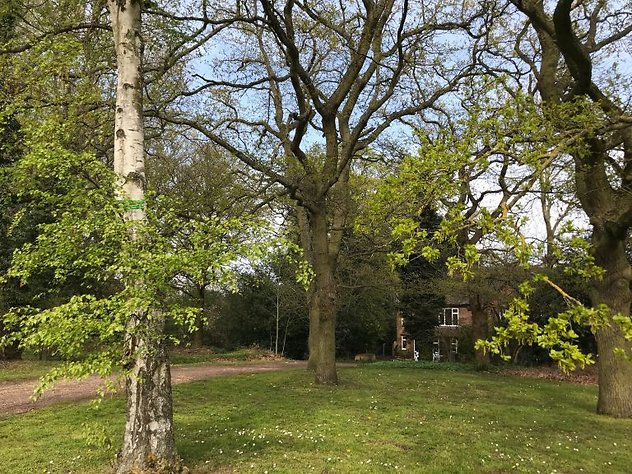 Woking Counselling Support. house and trees